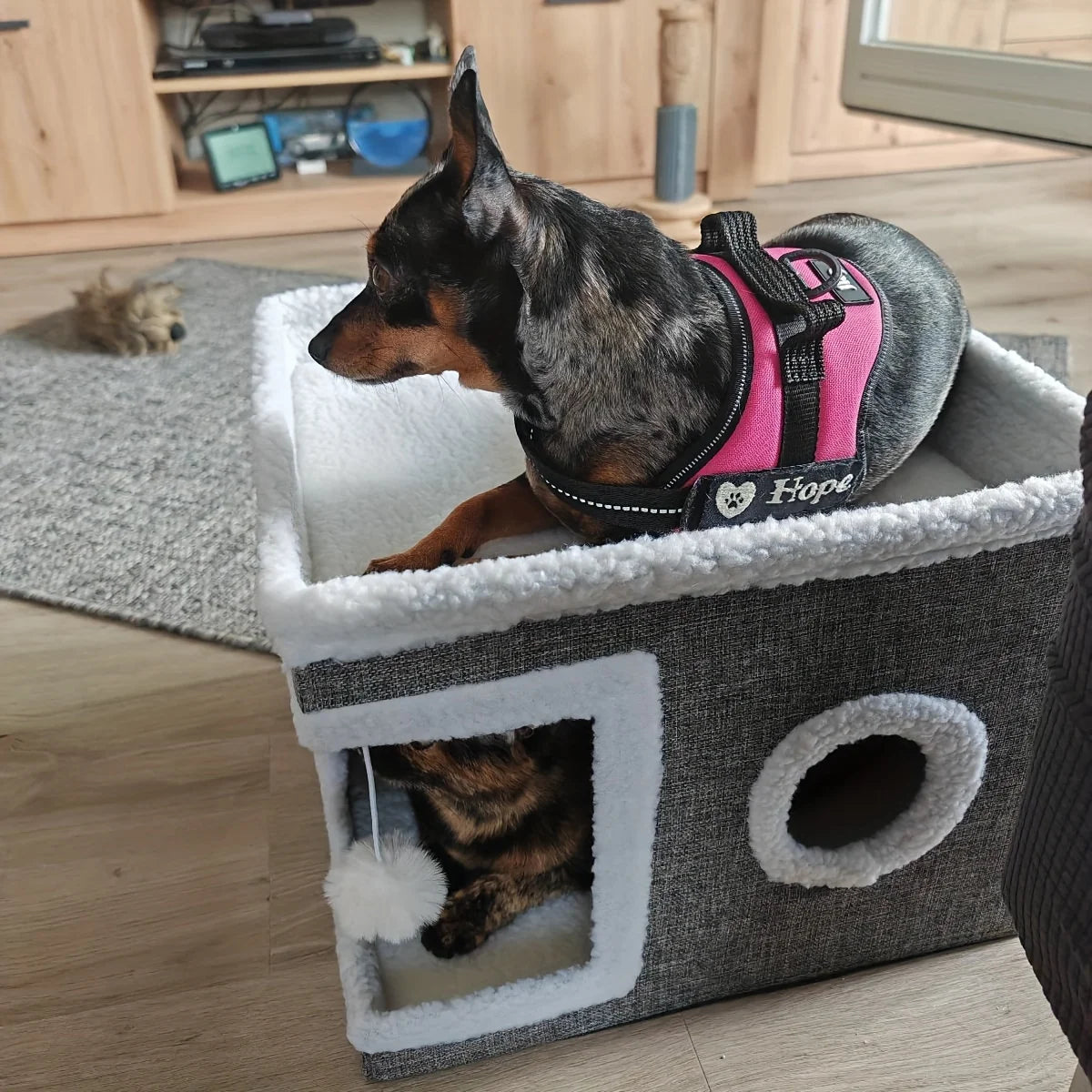 Multi-Level Cat House Bed Warm & Foldable Hideaway