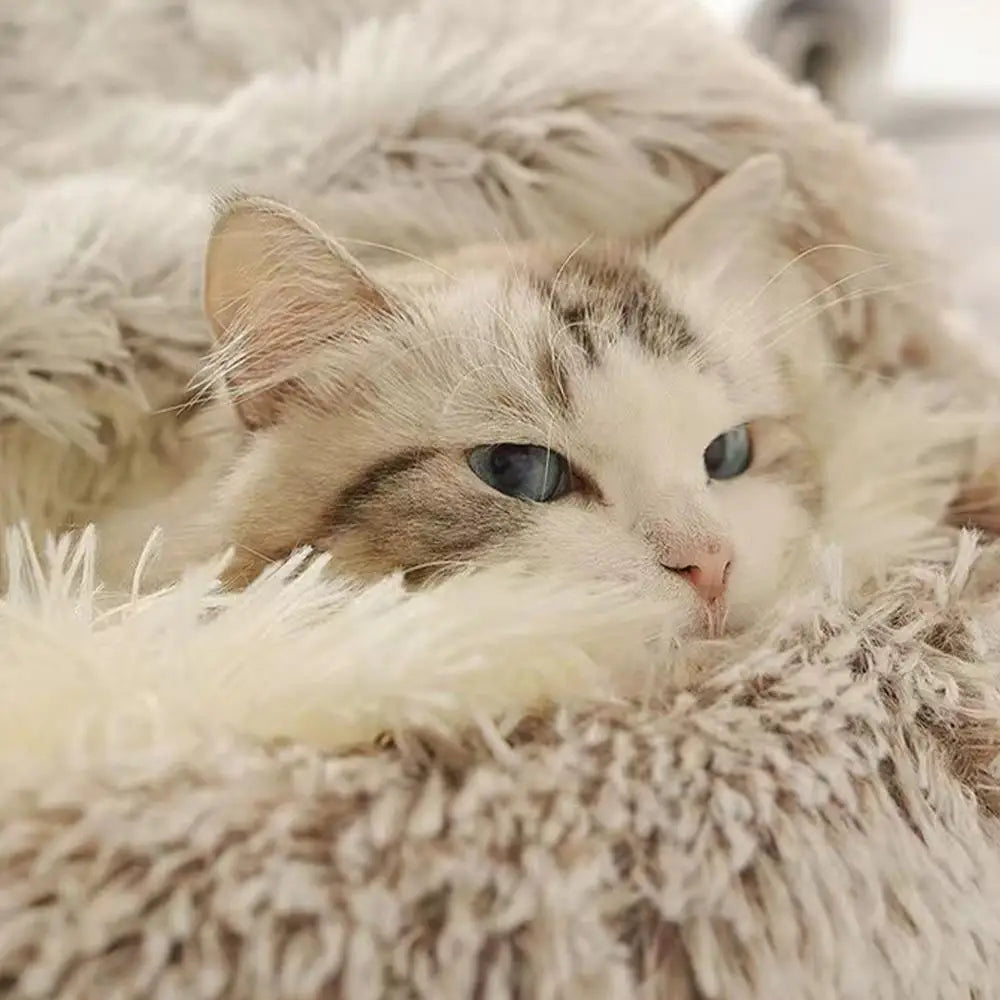 Plush Cat Nest Bed  Warm Semi-Enclosed Comfort